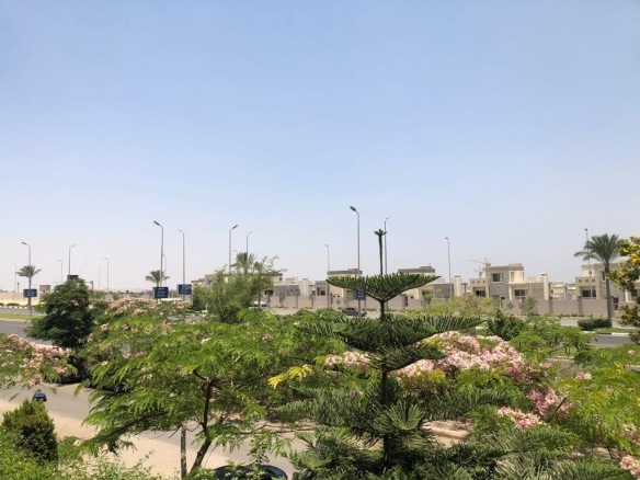 شقه 126 م عمارات ضباط الجيش