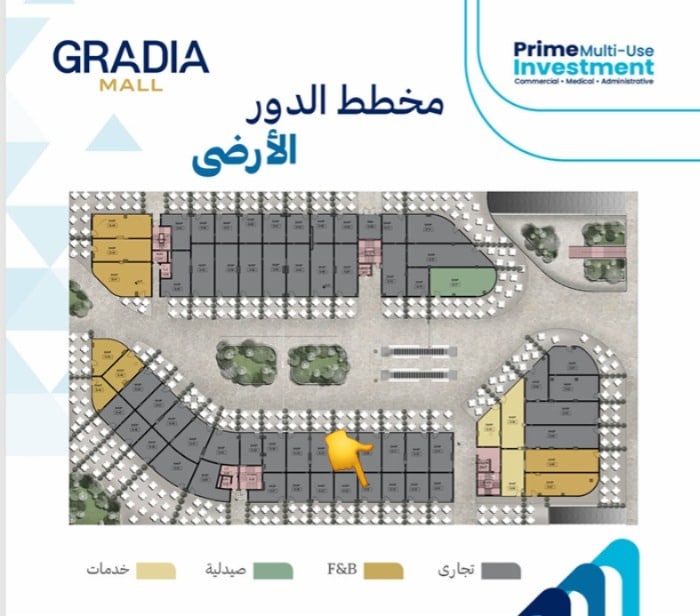 WhatsApp Image 2026 04 06 at 2.17.19 PM